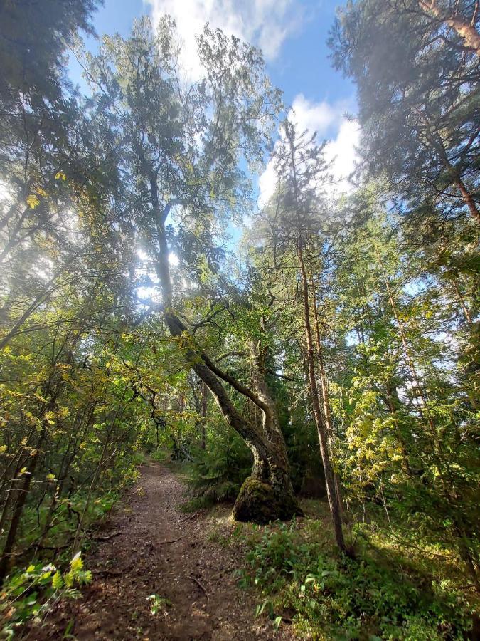 بيت شباب Ainola Hämeenlinna المظهر الخارجي الصورة
